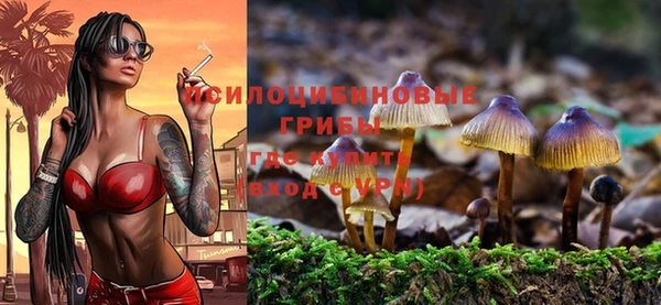 кокаин Гусь-Хрустальный