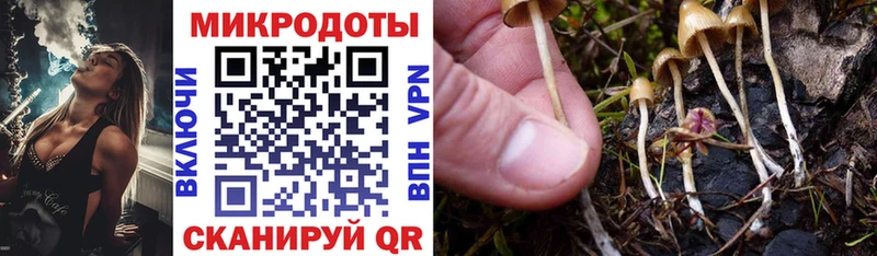 Галлюциногенные грибы ЛСД  Купить закладки  Свирск 