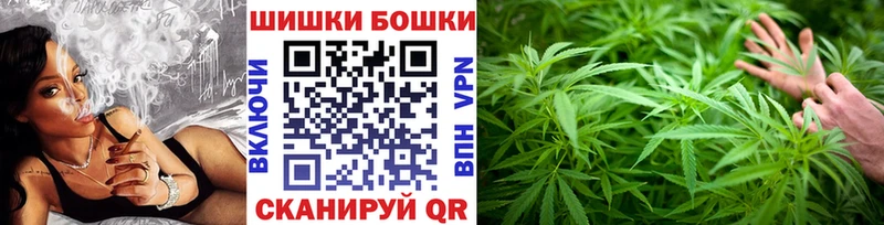Купить где  Свирск  Шишки марихуана Amnesia 